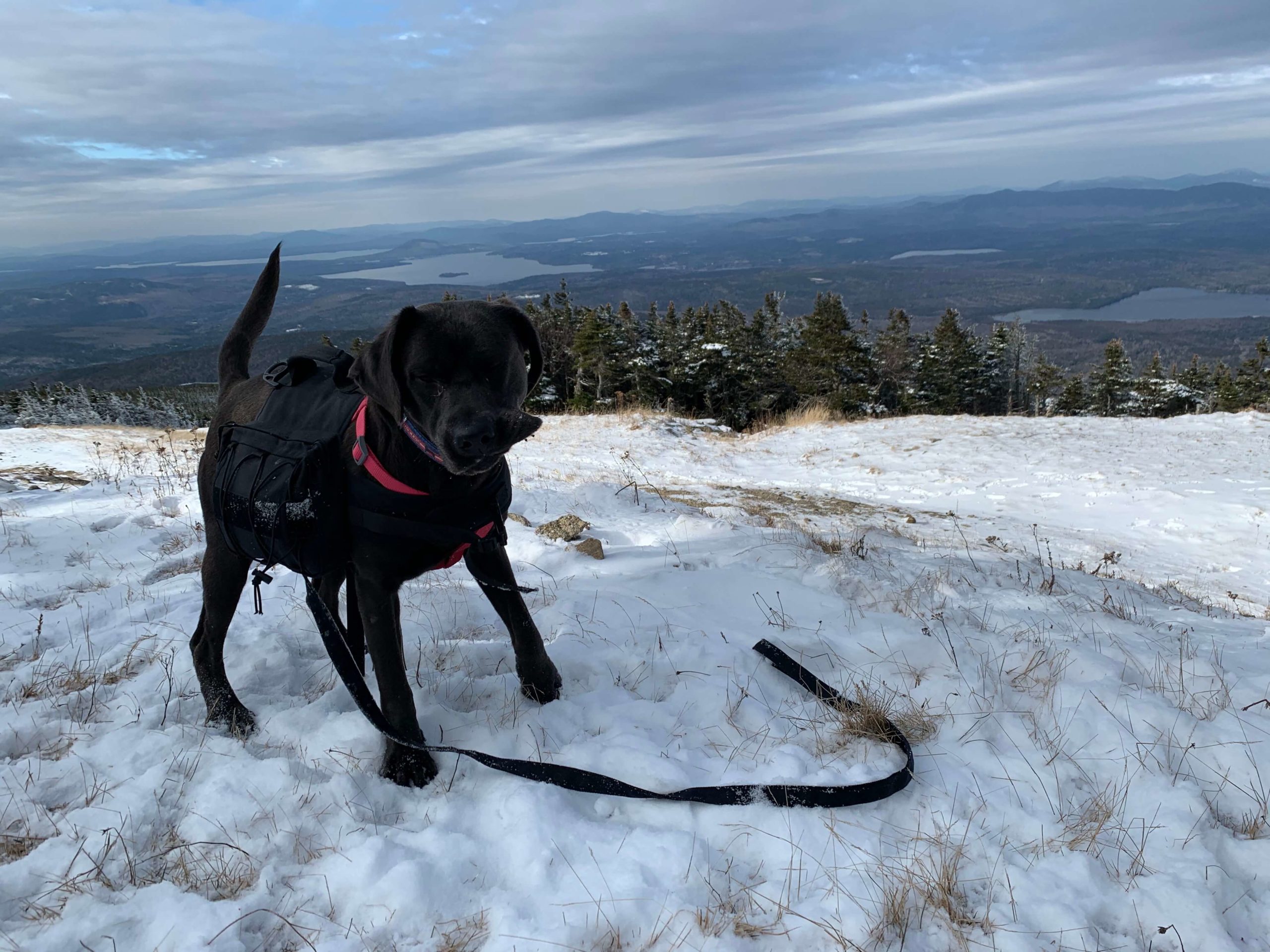 Happy Hiking