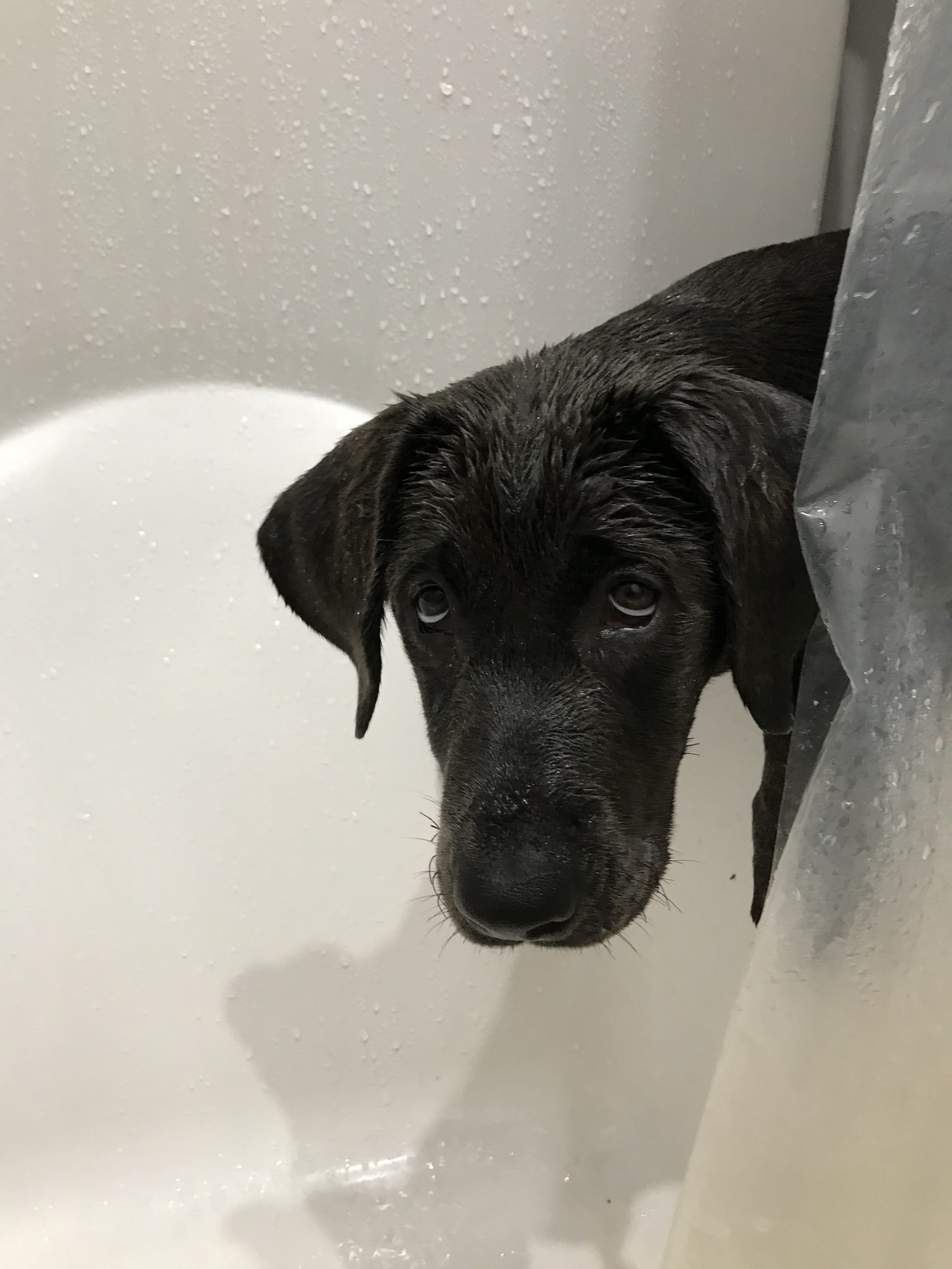 Tub Time